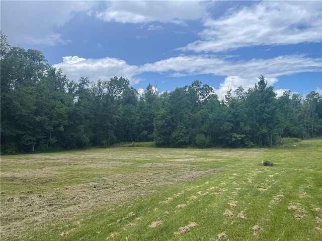 46185 W Jake Dr, Hammond, LA 70401 - photo 28