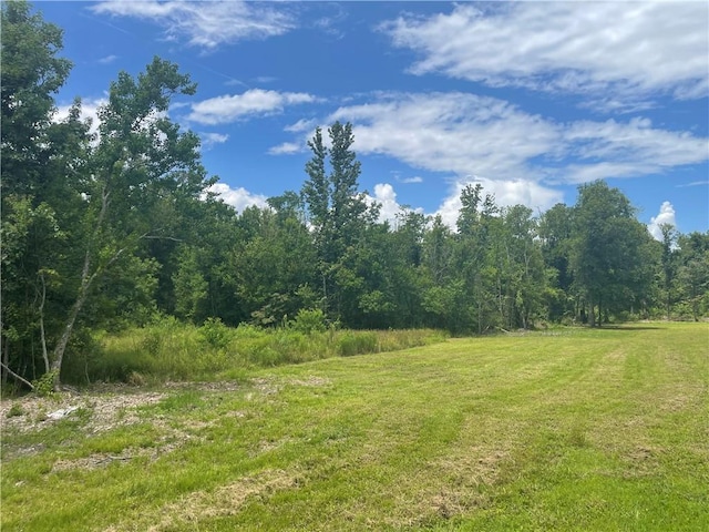 46185 W Jake Dr, Hammond, LA 70401 - photo 29