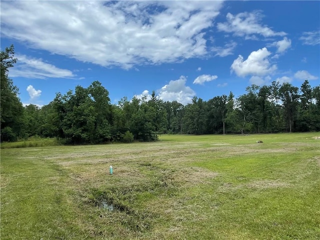 46185 W Jake Dr, Hammond, LA 70401 - photo 30