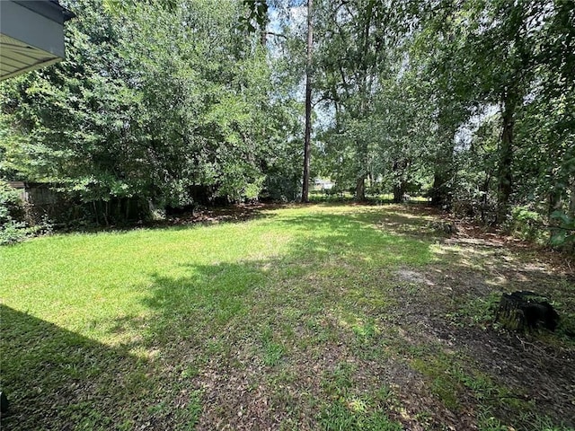 3046 Slidell Ave, Slidell, LA 70458 - view of green lawn