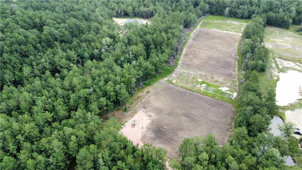 38688 Raiford Rd, Ponchatoula, LA 70454 - photo 1