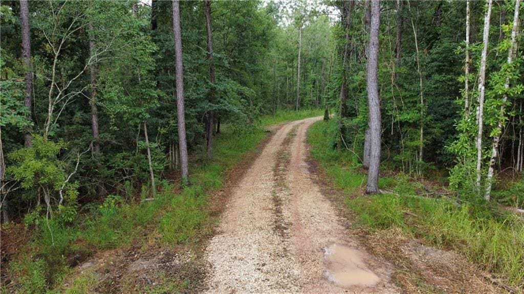 38688 Raiford Rd, Ponchatoula, LA 70454 - photo 4