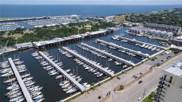 300 Lake Marina Ave Unit 14Dbw, New Orleans, LA 70124 - aerial view of numerous boat docks and a large body of water