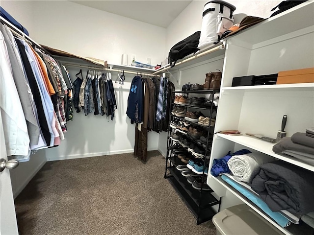 42423 Landing View Rd, Ponchatoula, LA 70454 - spacious closet with carpet