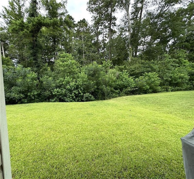 42423 Landing View Rd, Ponchatoula, LA 70454 - view of grassy yard