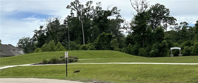 42423 Landing View Rd, Ponchatoula, LA 70454 - view of property's community with a lawn