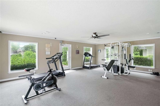 10286 W Winston Ave Unit 15, Baton Rouge, LA 70809 - workout area with a textured ceiling, ceiling fan, and crown molding