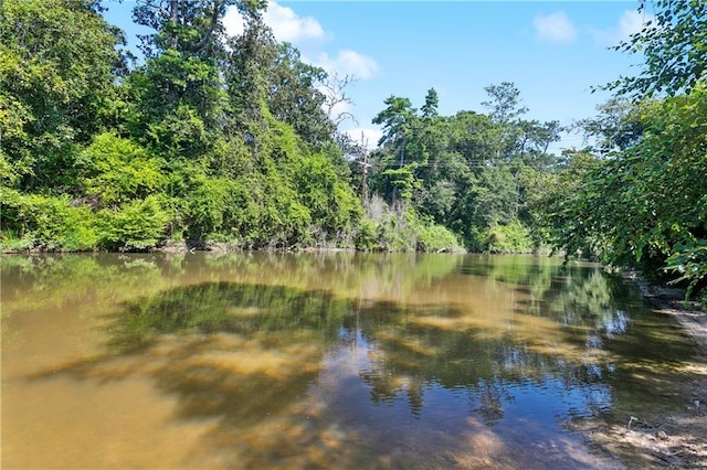 72287 Military Rd, Covington, LA 70435 - water view with a heavily wooded area