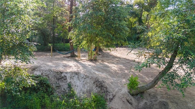 72287 Military Rd, Covington, LA 70435 - view of yard