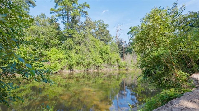 72287 Military Rd, Covington, LA 70435 - water view with a forest