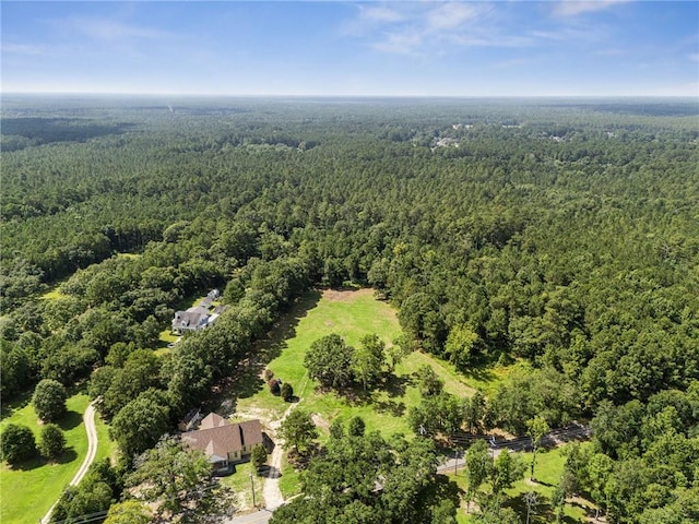 23160 Lowe Davis Rd, Covington, LA 70435 - photo 1