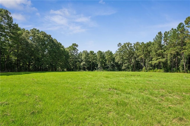 23160 Lowe Davis Rd, Covington, LA 70435 - photo 44