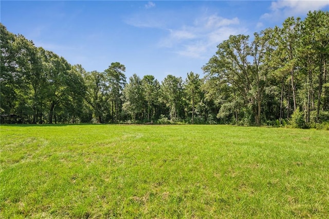 23160 Lowe Davis Rd, Covington, LA 70435 - photo 46