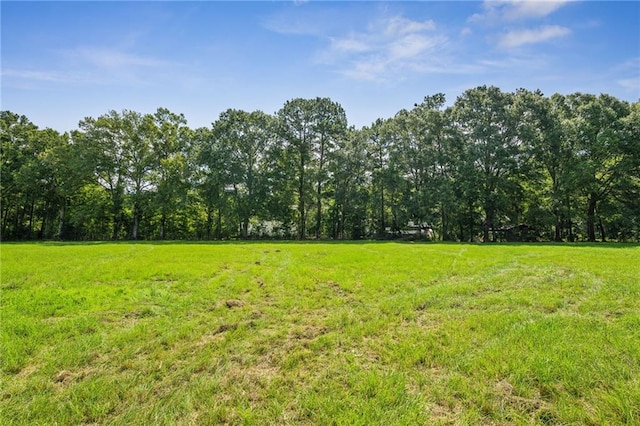 23160 Lowe Davis Rd, Covington, LA 70435 - photo 47