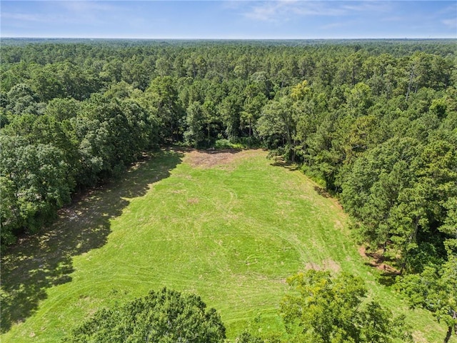23160 Lowe Davis Rd, Covington, LA 70435 - photo 49
