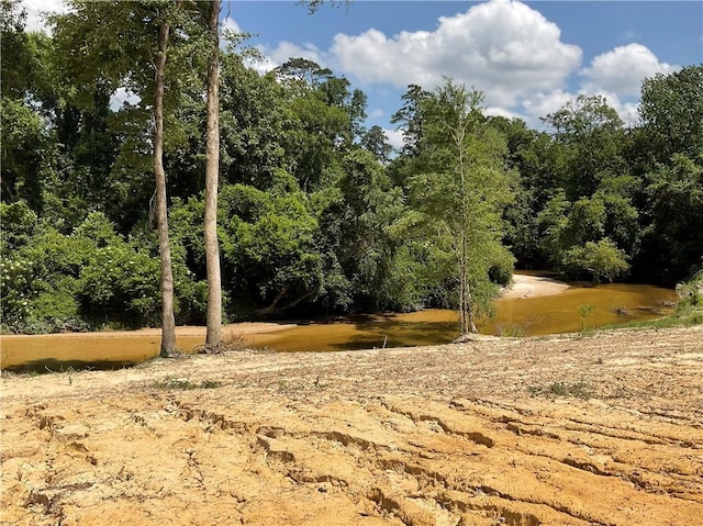 73488 River Rd, Covington, LA 70435 - photo 2