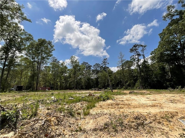 73488 River Rd, Covington, LA 70435 - photo 3