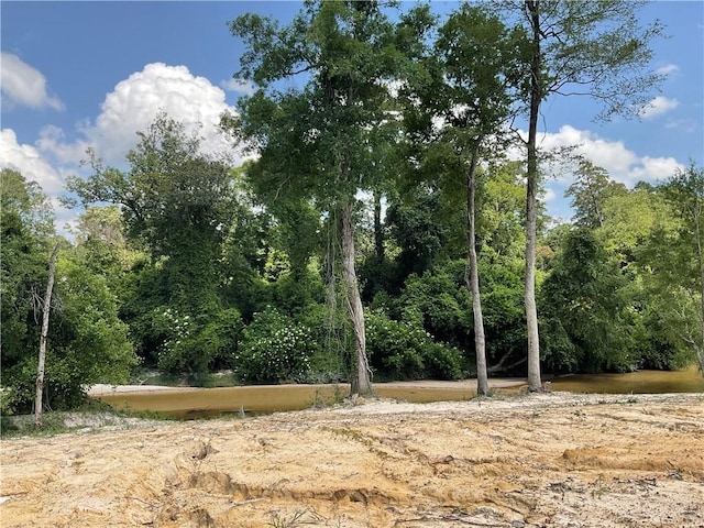73488 River Rd, Covington, LA 70435 - photo 4