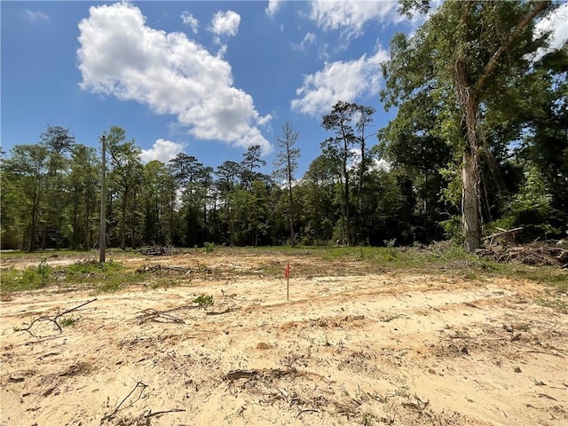 73488 River Rd, Covington, LA 70435 - photo 7