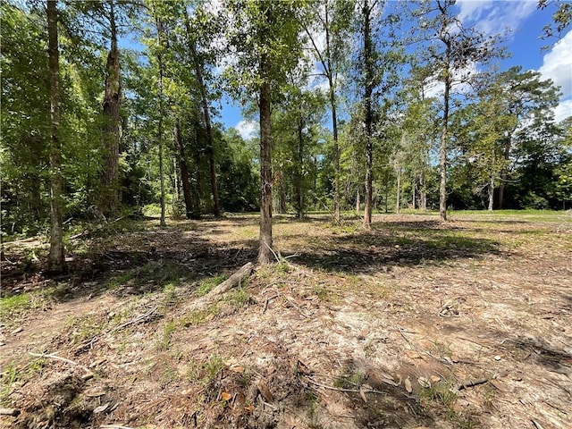 73488 River Rd, Covington, LA 70435 - photo 8