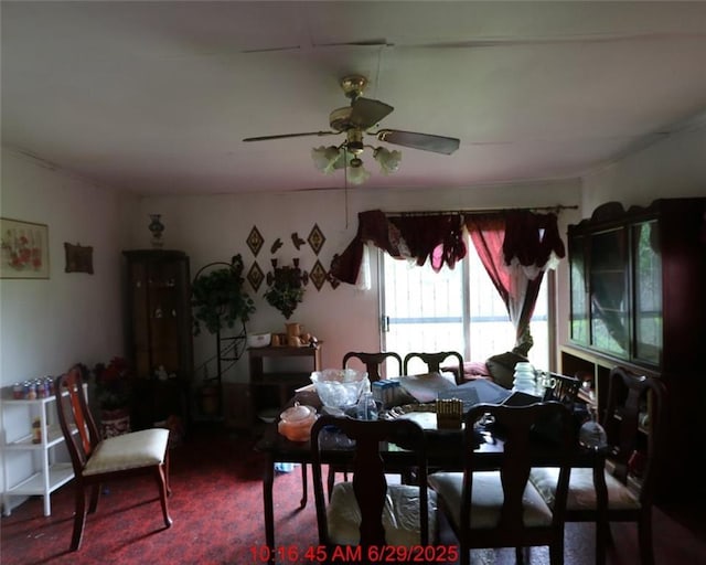 1209 Silver Lilly Ln, Marrero, LA 70072 - photo 5