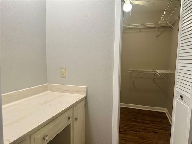 8732 25th St, Metairie, LA 70003 - bathroom with wood finished floors, vanity, a ceiling fan, and a walk in closet