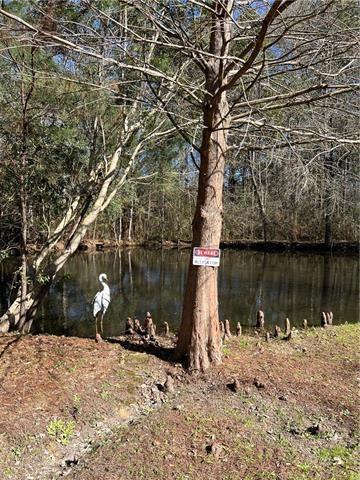 75252 Tom Meyers Rd, Covington, LA 70435 - photo 25