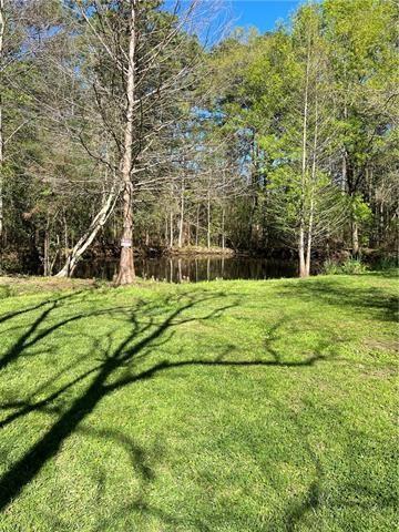 75252 Tom Meyers Rd, Covington, LA 70435 - photo 26
