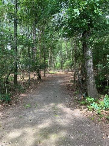 75252 Tom Meyers Rd, Covington, LA 70435 - photo 36