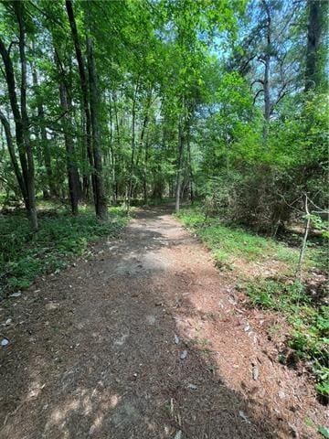 75252 Tom Meyers Rd, Covington, LA 70435 - photo 40