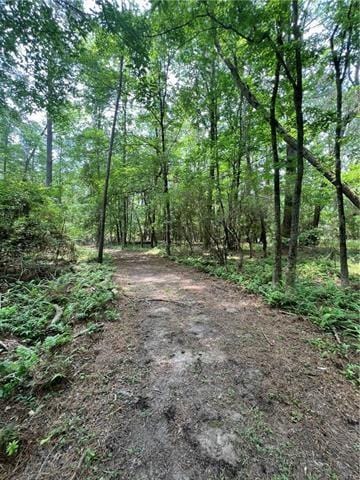 75252 Tom Meyers Rd, Covington, LA 70435 - photo 43