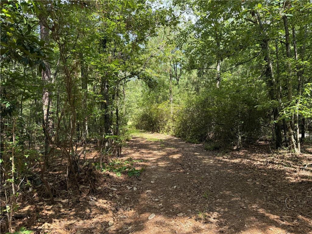 79468 Bruhl Rd, Folsom, LA 70437 - photo 1