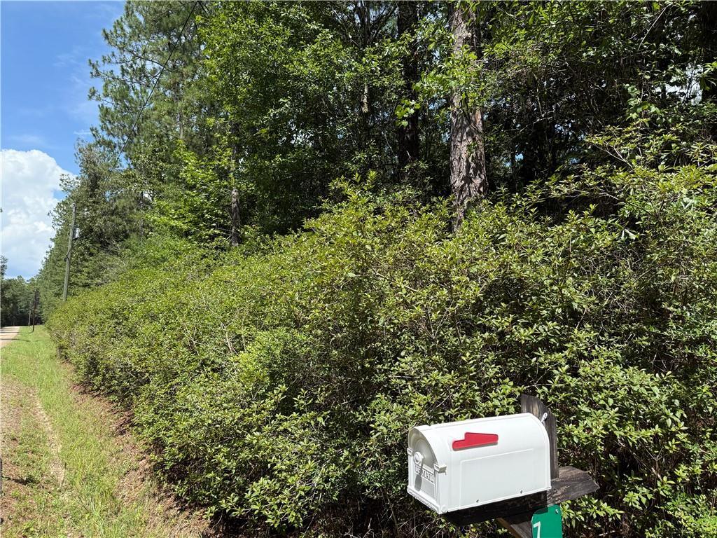 79468 Bruhl Rd, Folsom, LA 70437 - photo 2