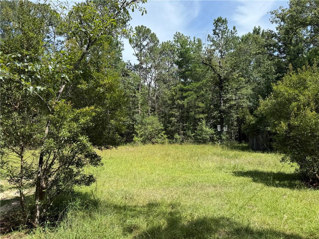79468 Bruhl Rd, Folsom, LA 70437 - photo 3