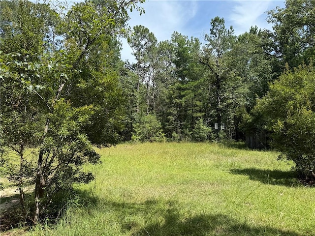 79468 Bruhl Rd, Folsom, LA 70437 - photo 3