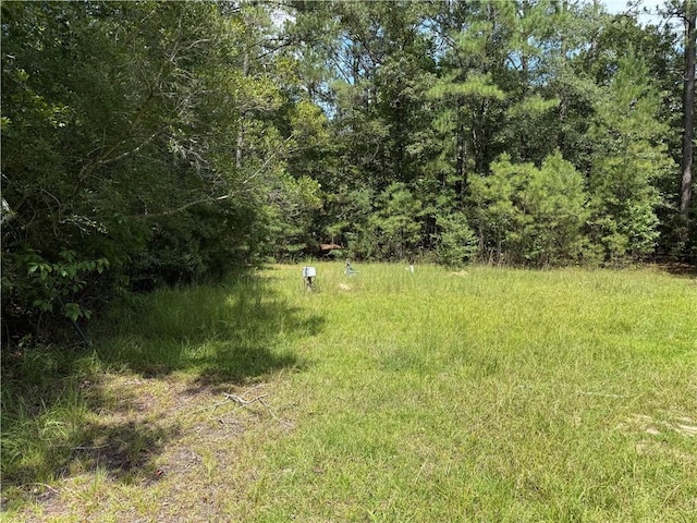 79468 Bruhl Rd, Folsom, LA 70437 - photo 4