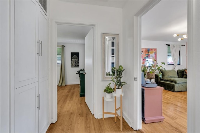 4430 Karen Ave, Jefferson, LA 70121 - hallway with light wood-style flooring and healthy amount of natural light
