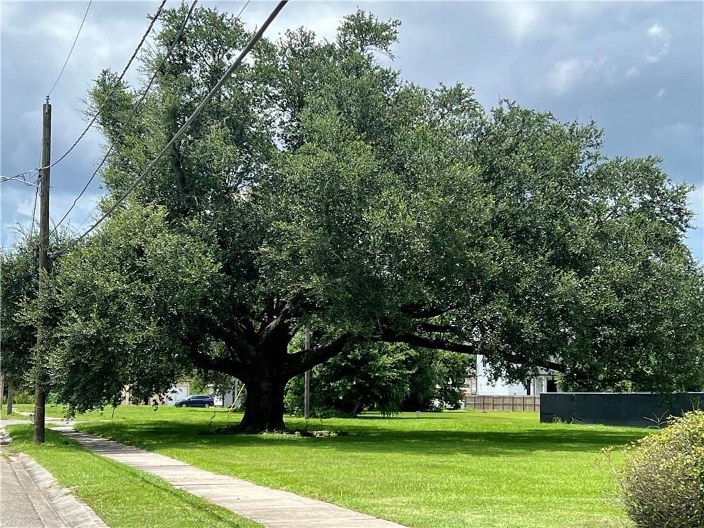 7205 Easy St, Arabi, LA 70032 - photo 3