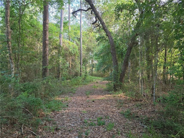 Chateau Dr, Slidell, LA 70460 - photo 2