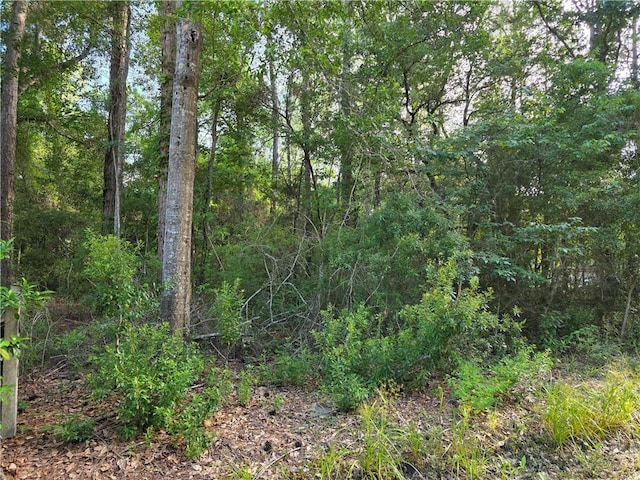 Chateau Dr, Slidell, LA 70460 - photo 3