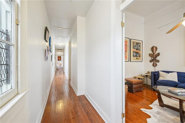 1821 Urquhart St, New Orleans, LA 70116 - corridor with attic access and wood-type flooring