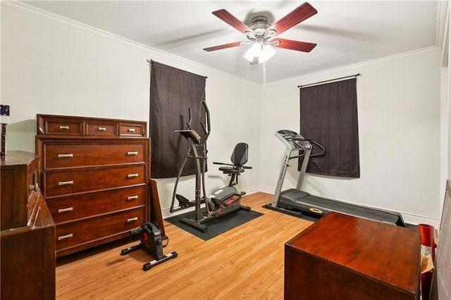 212 7th St, Bridge City, LA 70094 - exercise room featuring wood finished floors, ceiling fan, and ornamental molding