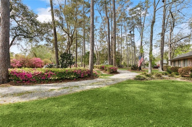 124 N Dr, Covington, LA 70433 - view of grassy yard