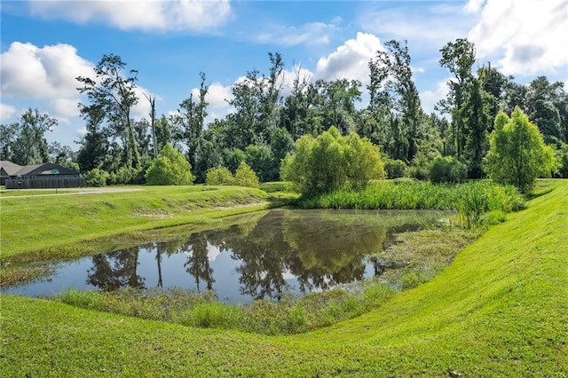 16168 S Trace Ext, Ponchatoula, LA 70454 - water view