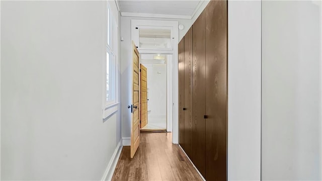 4533 Iberville St, New Orleans, LA 70119 - photo 15