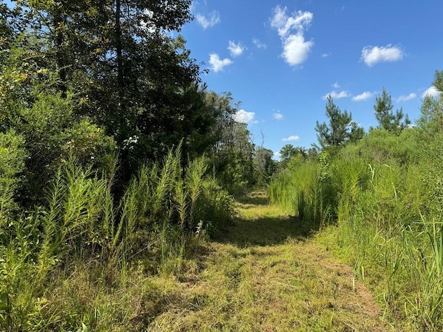 816 Denton Trl, Brookhaven, MS 39602 - photo 3