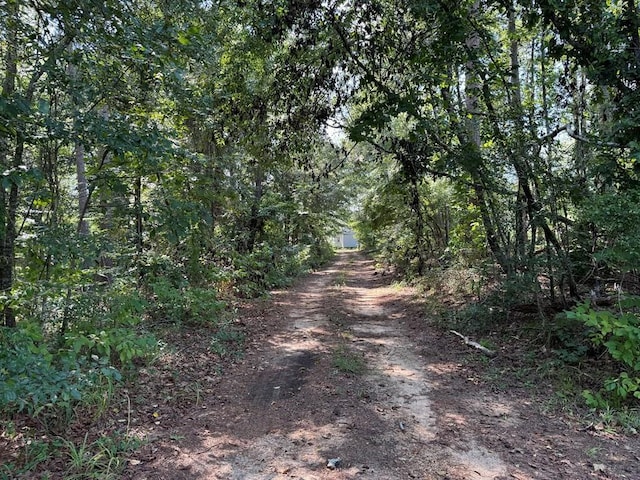 816 Denton Trl, Brookhaven, MS 39602 - photo 4