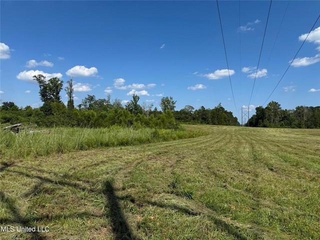 816A Denton Trl, Brookhaven, MS 39601 - photo 3