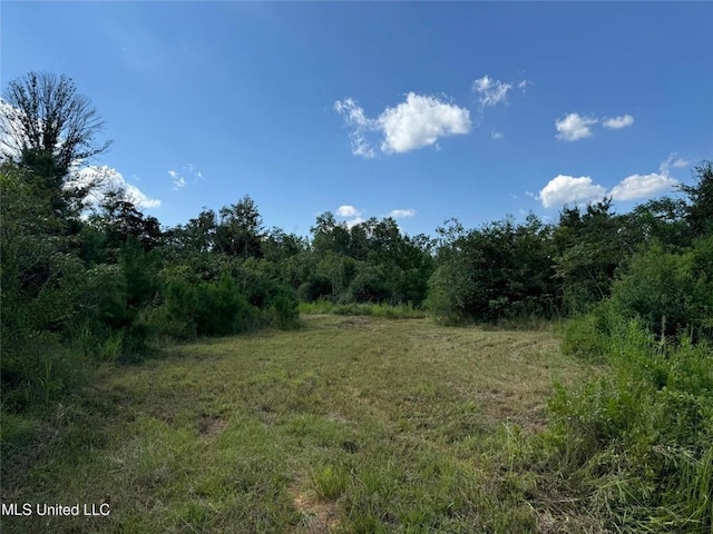 816A Denton Trl, Brookhaven, MS 39601 - photo 4