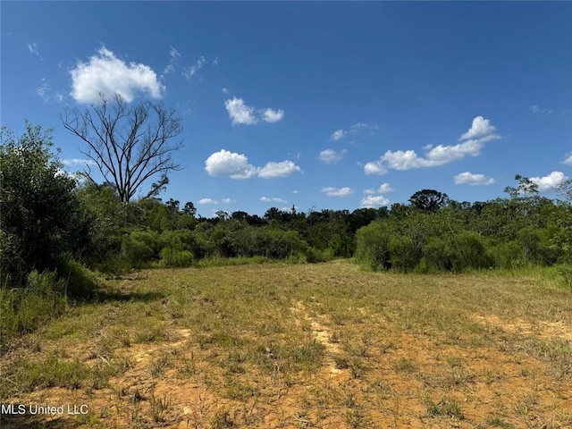 816A Denton Trl, Brookhaven, MS 39601 - photo 5